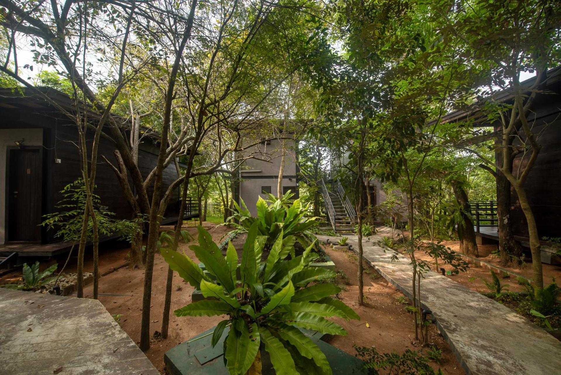 Atha Resort Σιγκιρίγια Εξωτερικό φωτογραφία