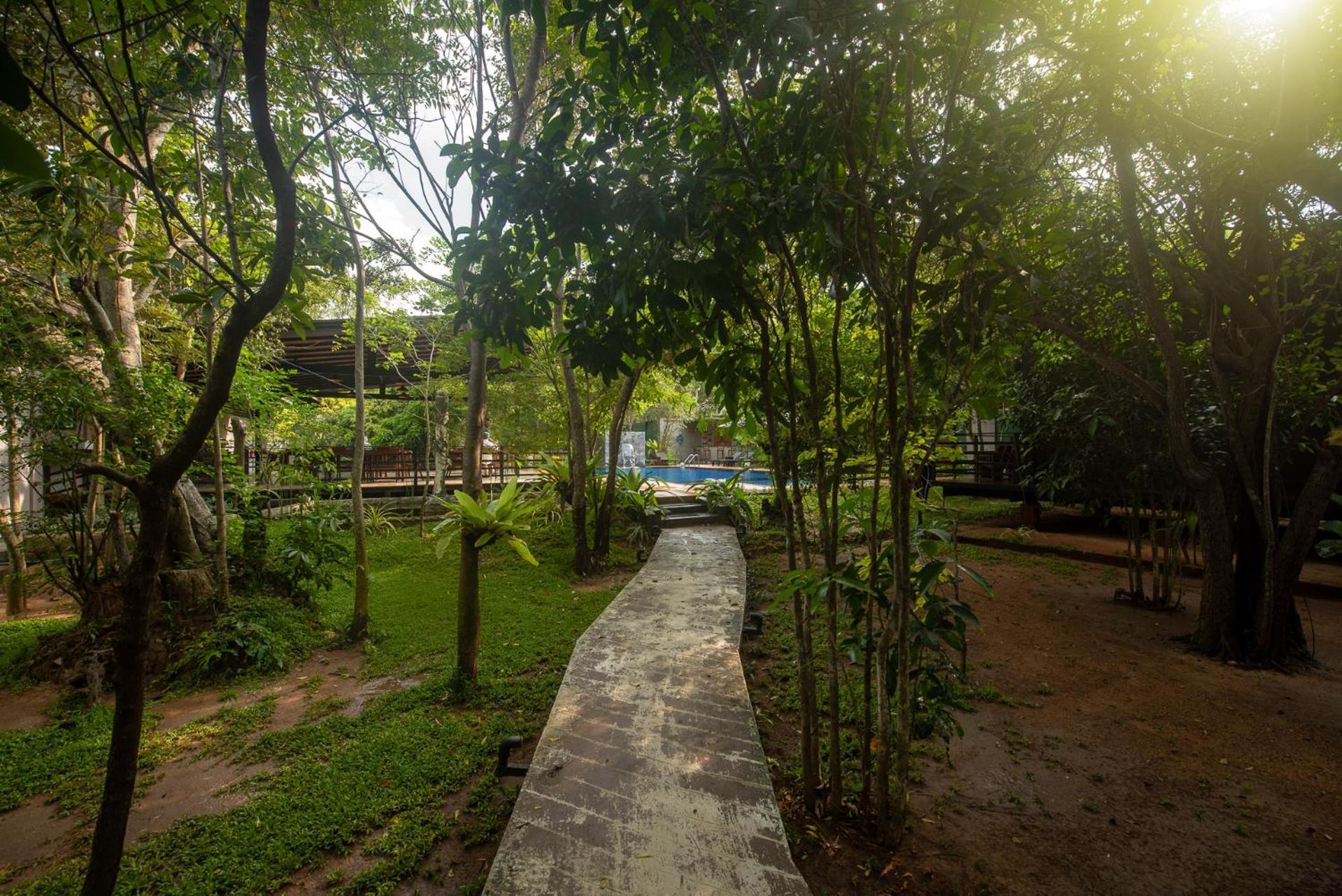 Atha Resort Σιγκιρίγια Εξωτερικό φωτογραφία