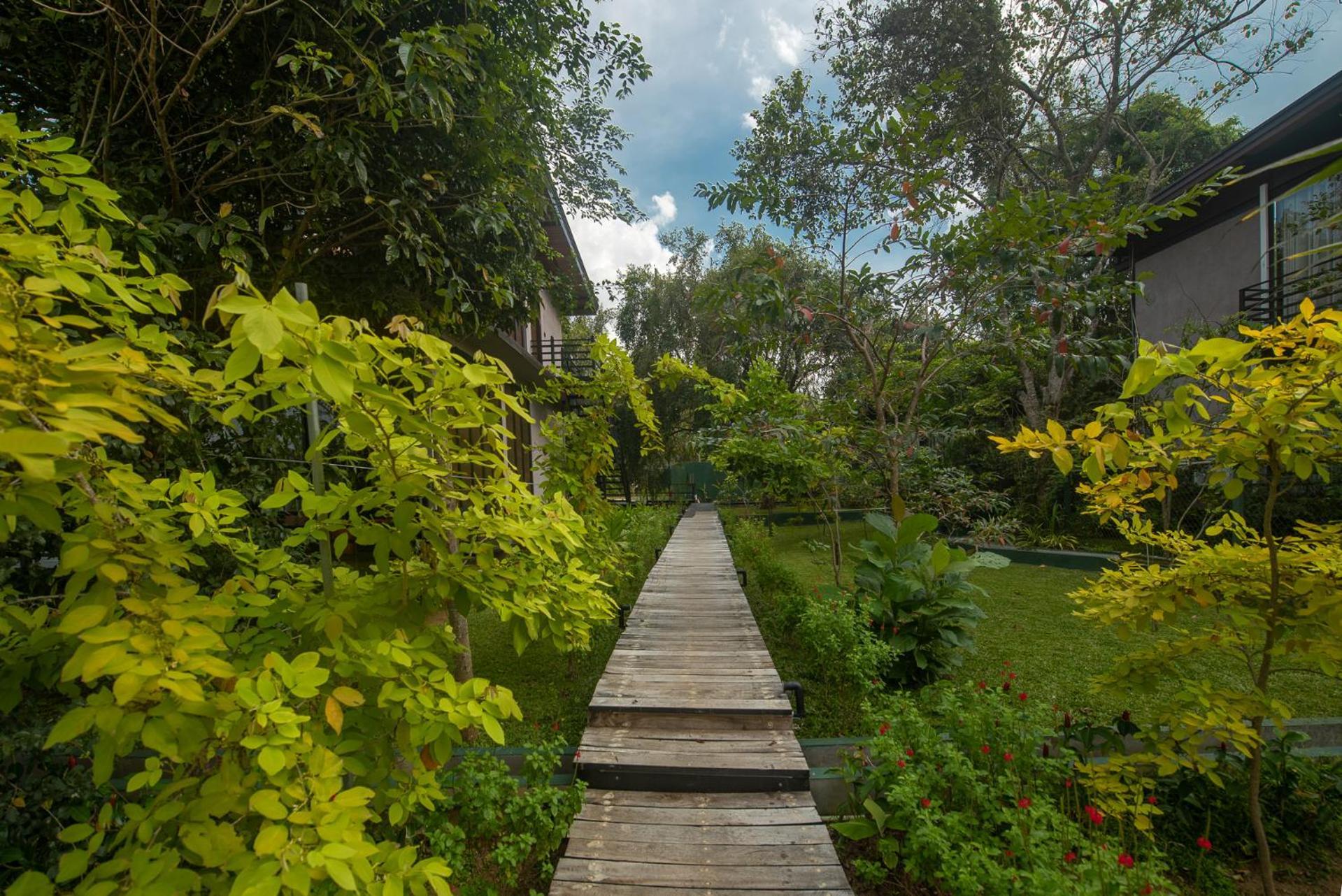 Atha Resort Σιγκιρίγια Εξωτερικό φωτογραφία
