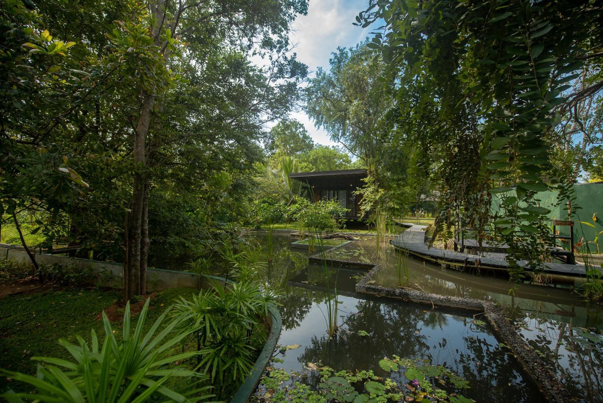 Atha Resort Σιγκιρίγια Εξωτερικό φωτογραφία