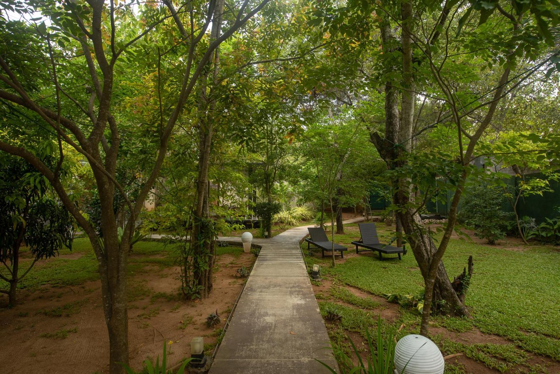 Atha Resort Σιγκιρίγια Εξωτερικό φωτογραφία